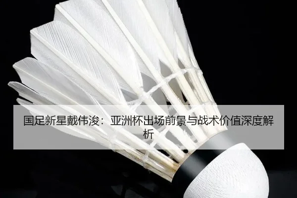 国足新星戴伟浚：亚洲杯出场前景与战术价值深度解析